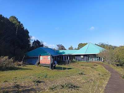 Cerro Ñielol