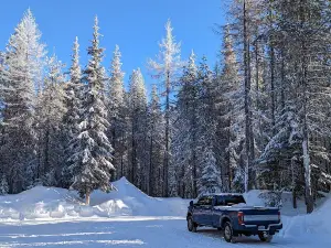 Umatilla National Forest