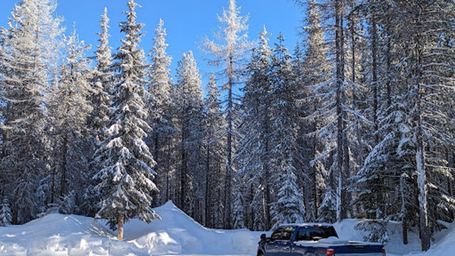 Umatilla National Forest
