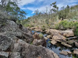 Crows Nest National Park