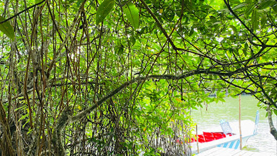 Green Bay maduwa boat safari