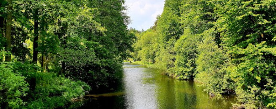 Kreuberger Felsen