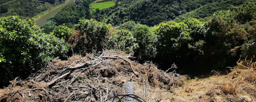 That Place - Mountain Bike Park