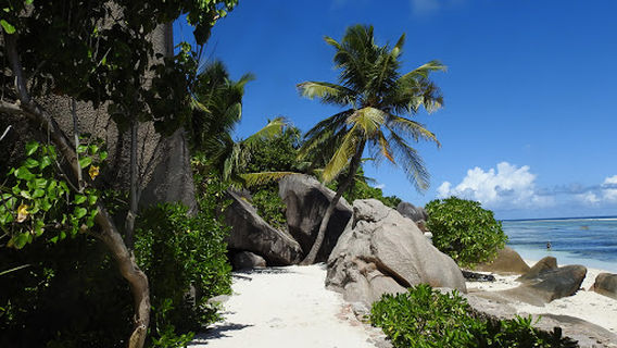 Anse Union