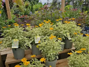 Madoc Garden Center