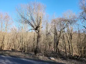 Active Centralia Smoking Vents