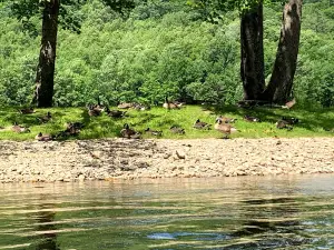 Big Big on the Battenkill Kayak and Tubing