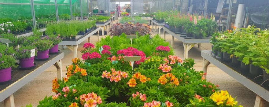 Elm Park Garden Centre