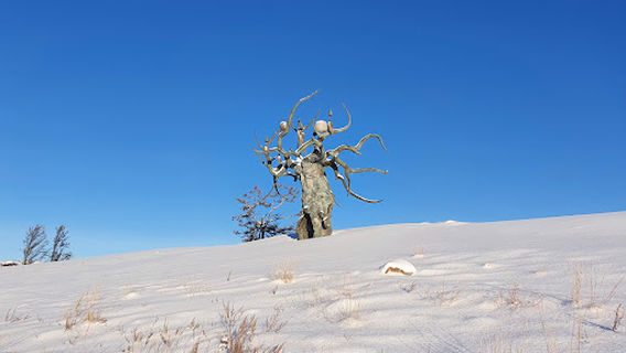 Skul'ptura "Khranitel' Baykala"