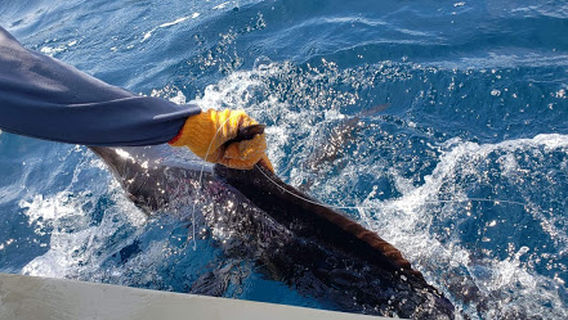 Boos Adventures Fishing Charters