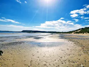 Gower Area of Outstanding Natural Beauty