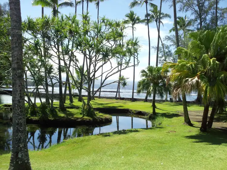 Hotels near Richardson Ocean Park