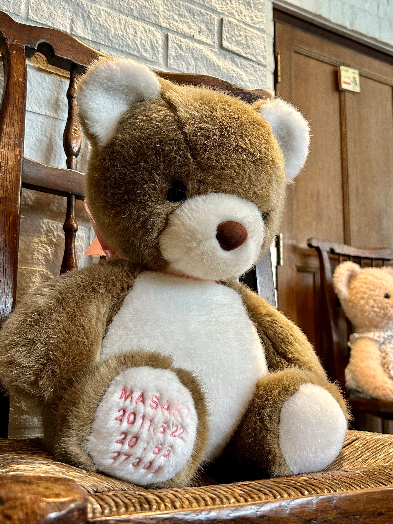 静岡 伊豆テディベア・ミュージアム 入場Eチケット 予約