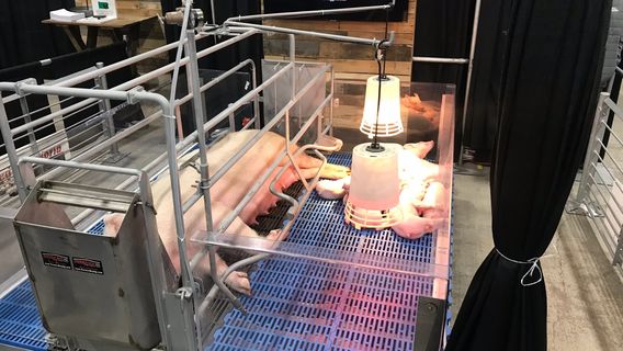 Pennsylvania Farm Show Complex & Expo Center