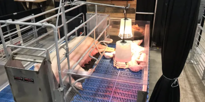 Pennsylvania Farm Show Complex & Expo Center