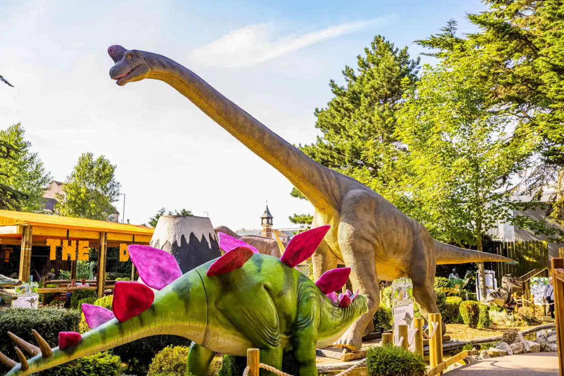 Hotels near Skegness Aquarium