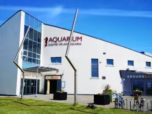 Galway Atlantaquaria, National Aquarium of Ireland