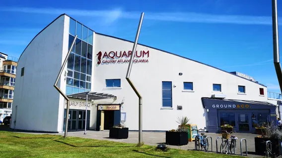 Galway Atlantaquaria, National Aquarium of Ireland