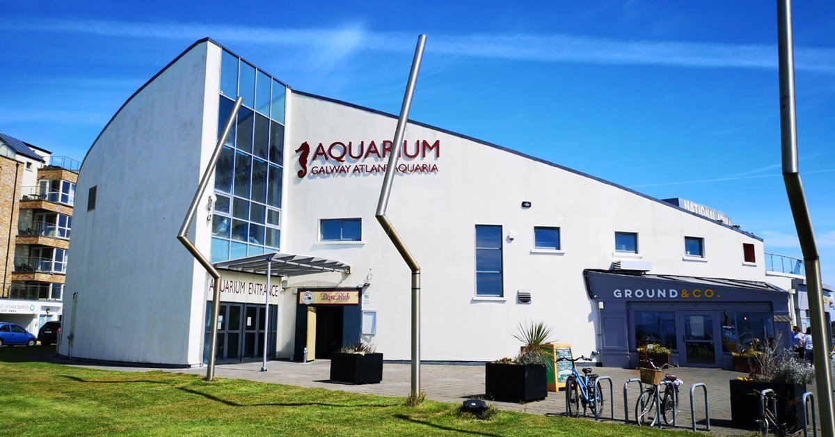 Galway Atlantaquaria