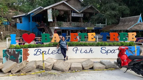 Old Enchanted Balete Tree