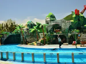 Mundo Marino