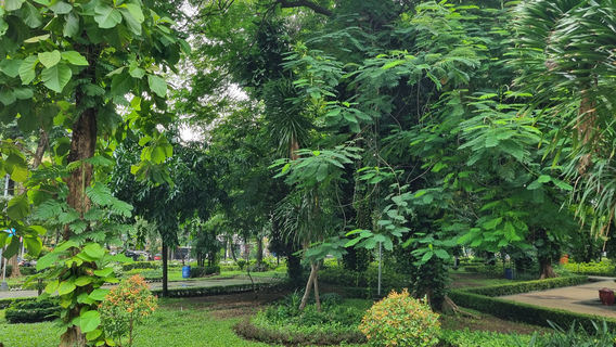 Taman Flora Bratang Surabaya