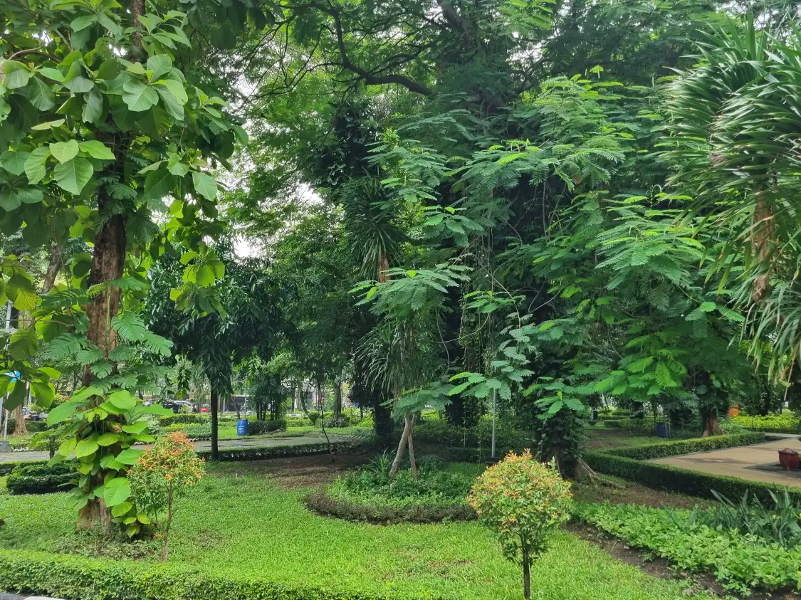 Hotels near Taman Flora Bratang Surabaya