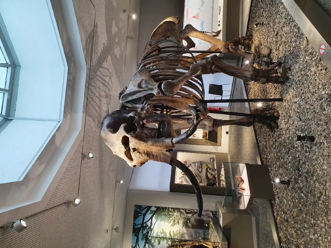 Hotel in zona Museum of Natural History