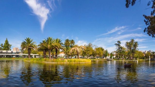 Jardim do Campo Grande / Mario Soares Garden