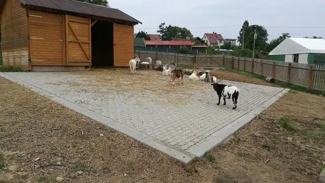 Tabor Zoo