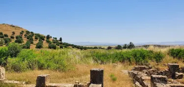 Ain Draham