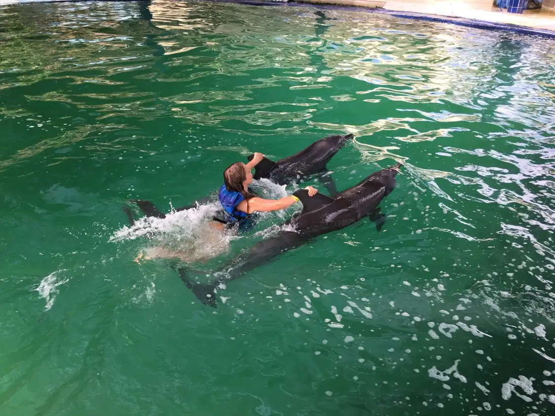 Hotel in zona Melka Excelsior Dolphin & Wildlife Resort