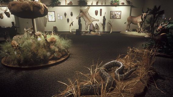 The Crawford Collection