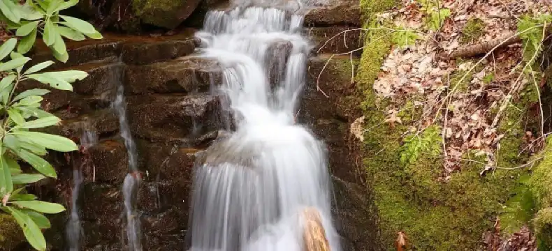 Hotels in Johnson County