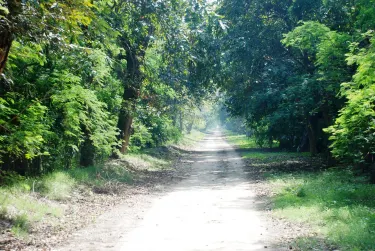 Kapurthalan piirikunta