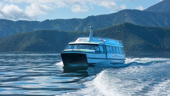 Beachcomber Cruises. Queen Charlotte Cruise & Track Adventures