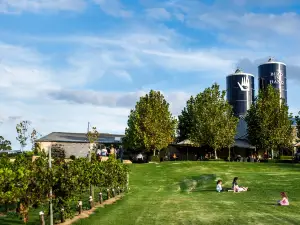 Bird in Hand Winery