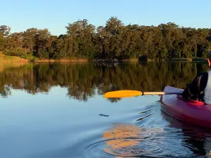 Bellingen Canoe Adventures