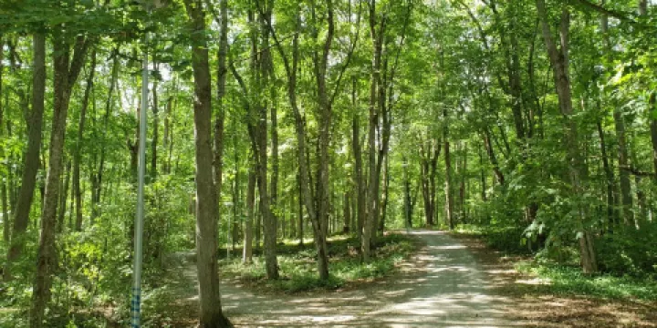 Hagen - Ramsholmen - Hogholmen