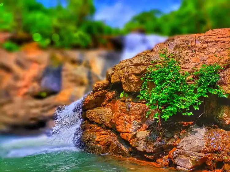 Hotels in Palghar