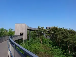 Bessyodake Sky Deck Noto Yume Terrace