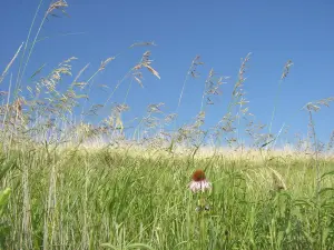 Audubon National Wildlife Refuge Complex