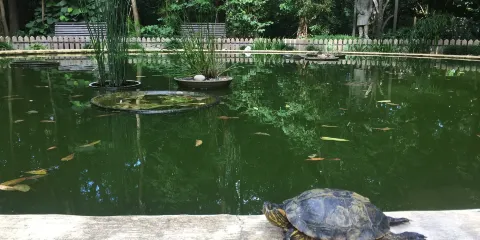 Museo Miguel Lillo De Ciencias Naturales