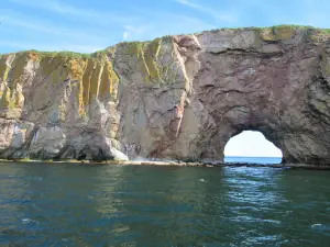 Whale Cruises on the Julien Cloutier Enr.