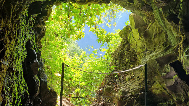 Levada Caldeirao Verde