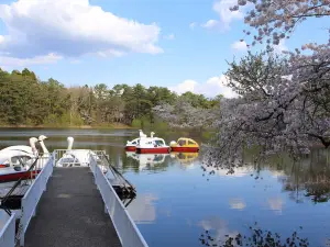 Ashino Park