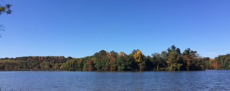 Lake Redman
