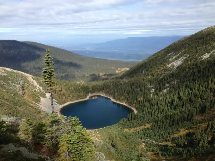 Hotels near Sugarbowl-Grizzly Den Provincial Park and Protected Area