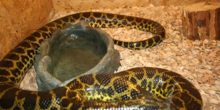 Museum of Natural History