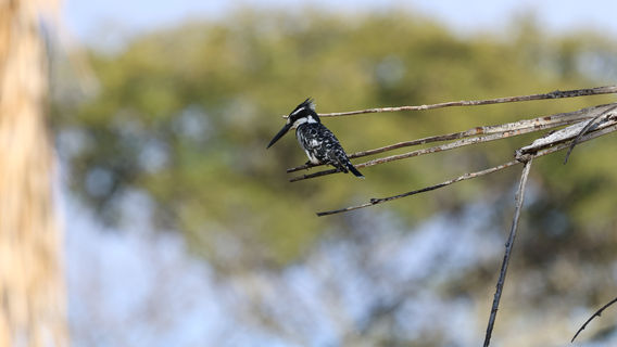 Harare Botanical Gardens